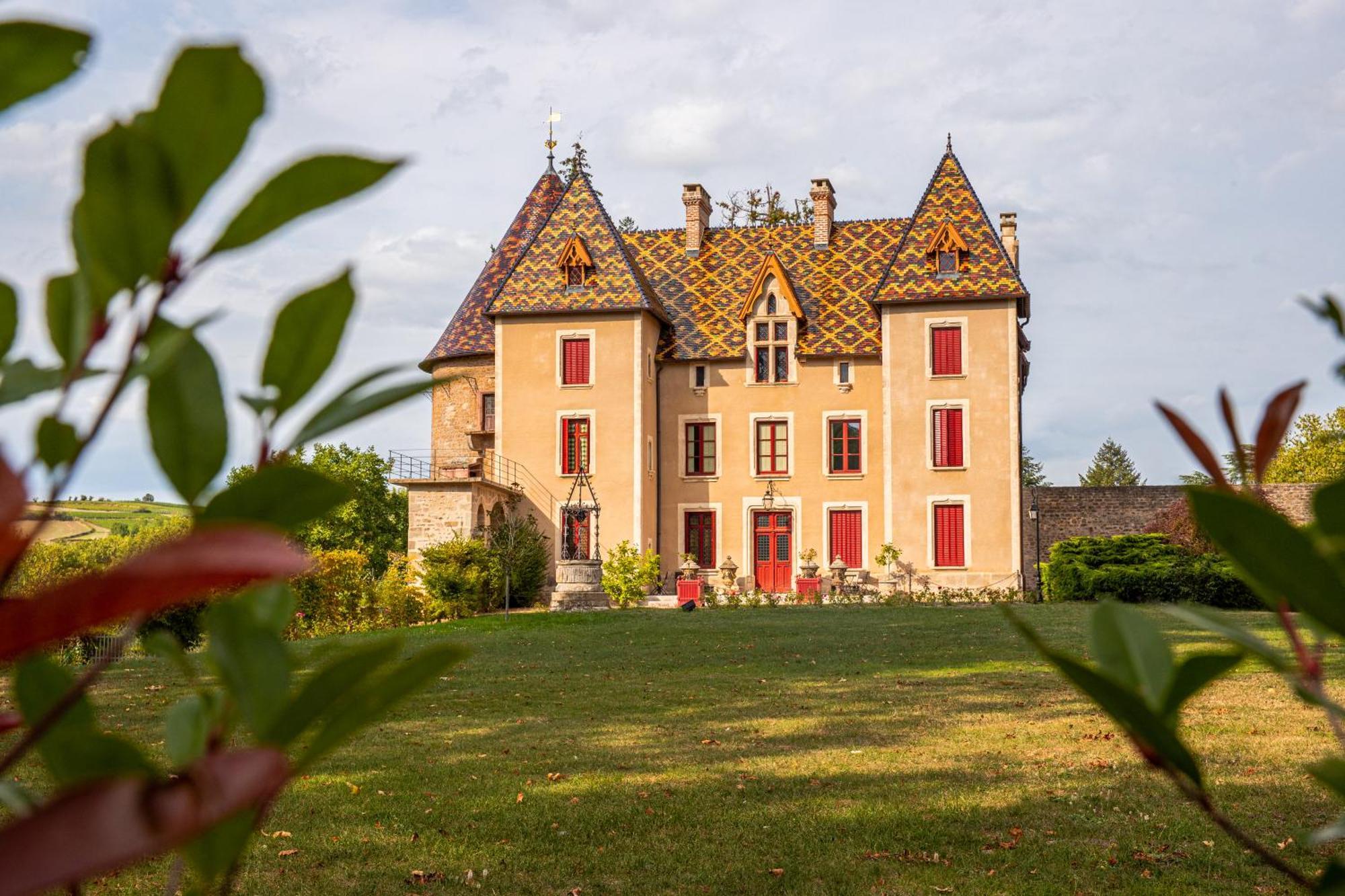 Chateau De La Grange Saint-Emiland Esterno foto